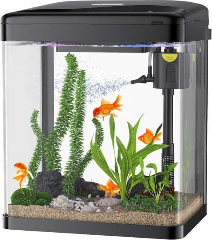 PONDON Betta Fish Tank Review