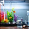 Water Change Without Stressing Your Fish